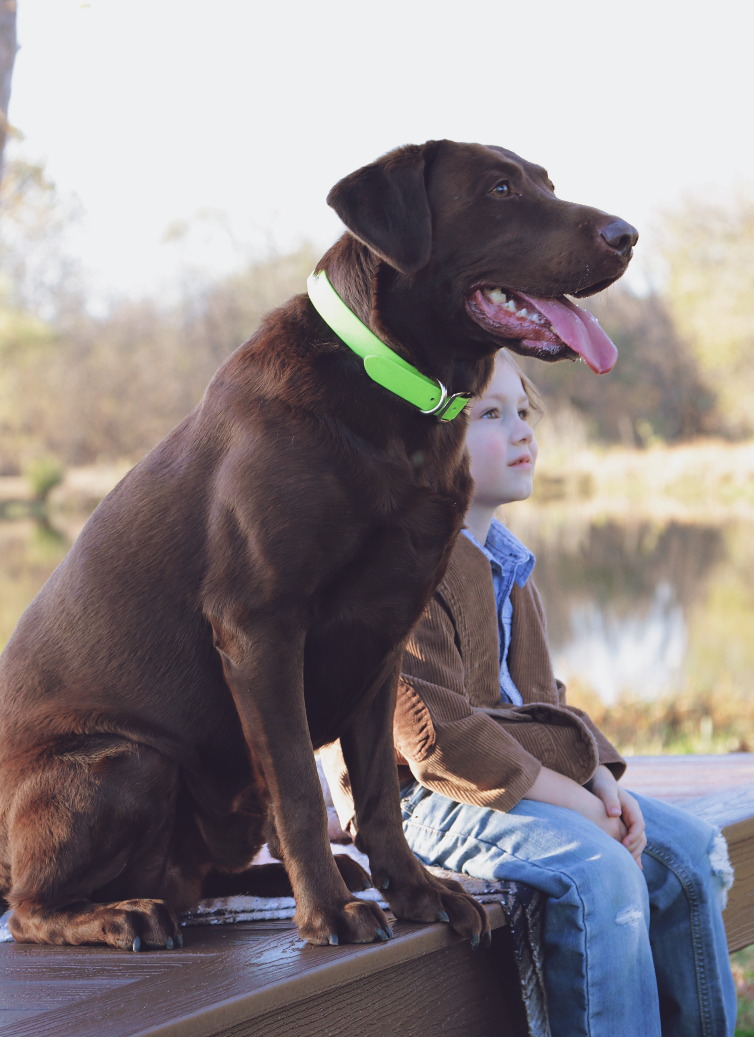 Envision Expression® Caribou Brown boy and dog