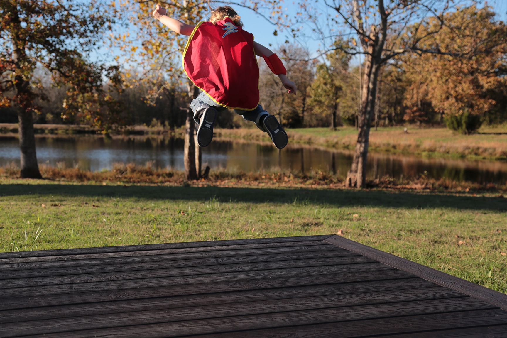 Envision-Expression-Woodland-Bark-6