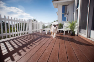 A dog walking on Envision composite decking.