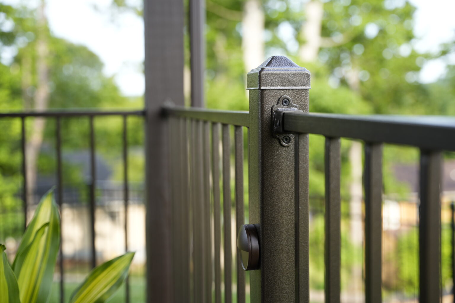 Black Walnut_Vintage Oak_Bronze S110_DSC07641